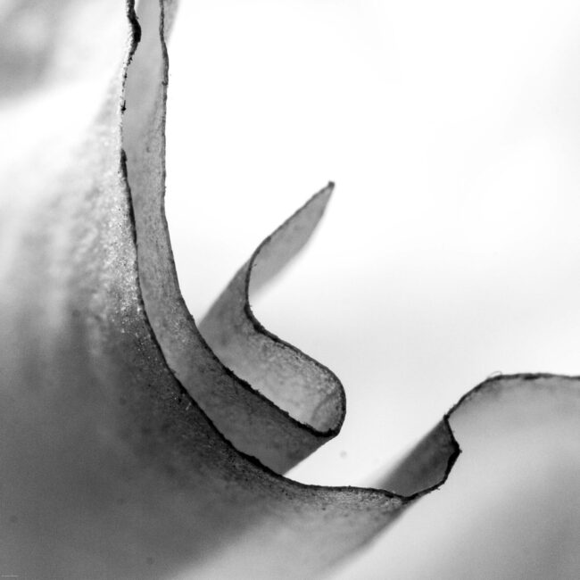 Lichtzeichnungen #1090346 2015-07-18_